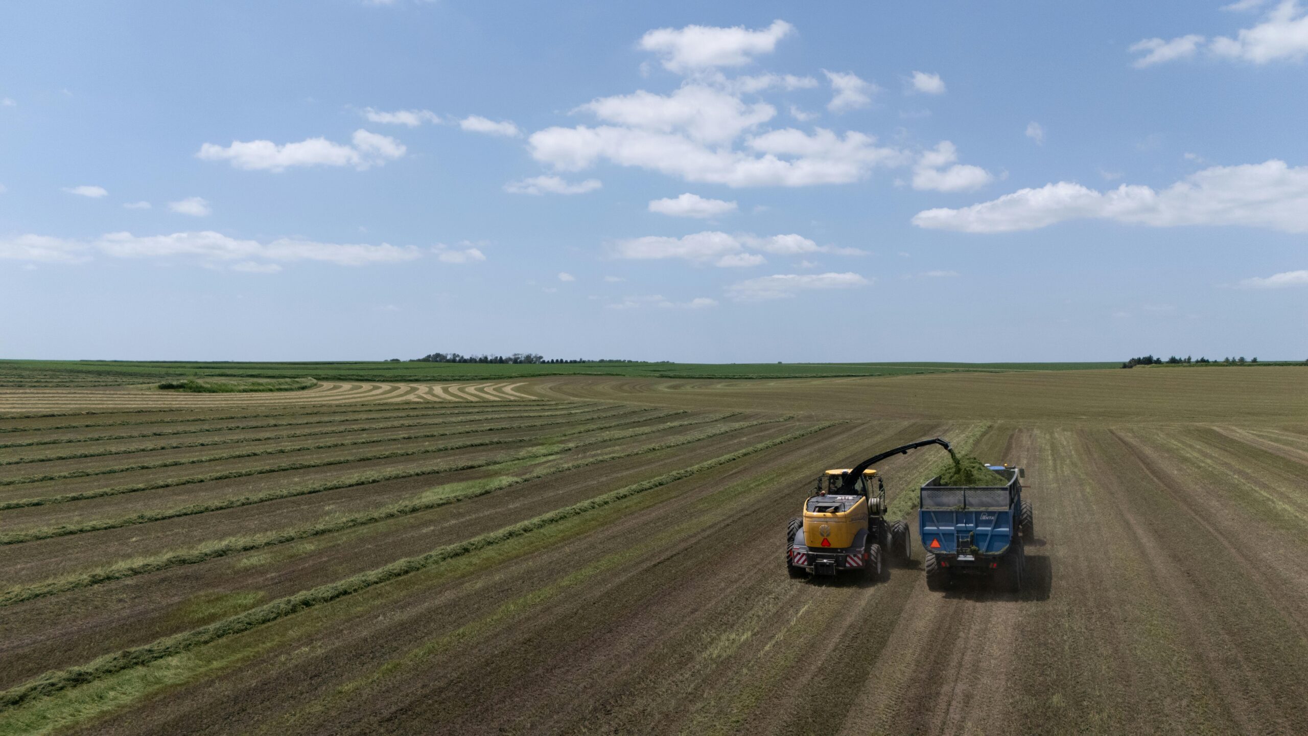Licença ambiental rural